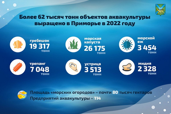 Марикультура Приморья прибавила в производстве